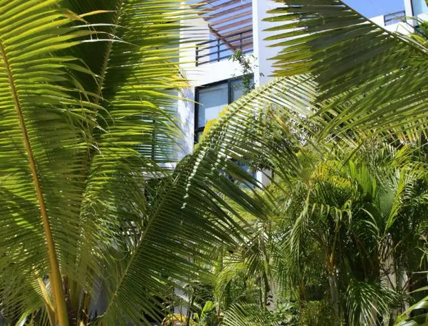 Anah Tulum hotel detail image 4