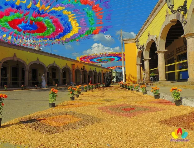 Hotel Hacienda El Ceboruco hotel detail image 1