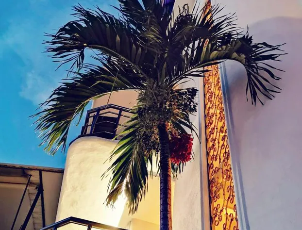 Hotel Blue Star Cancun hotel detail image 2