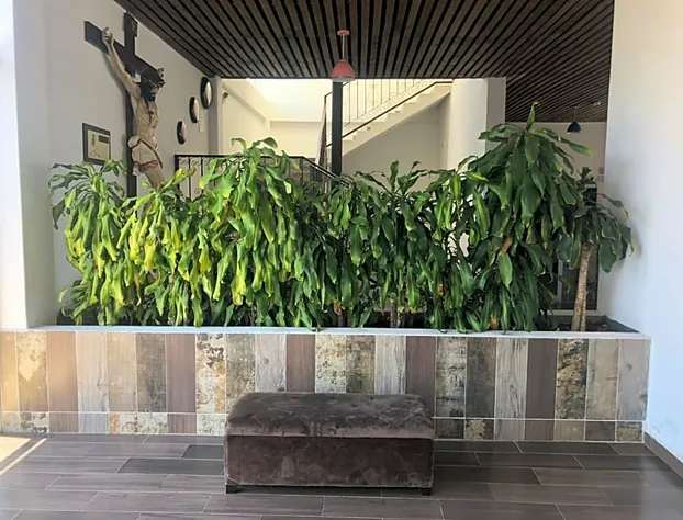 Hotel JH Boutique hotel detail image 4