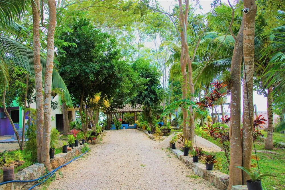 El Roble Nature Hotel & Lagoon hotel hero