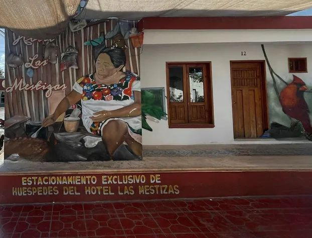 Hotel Las Mestizas hotel detail image 1