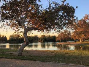 Le Blanc Inn & Suites hotel detail image 4