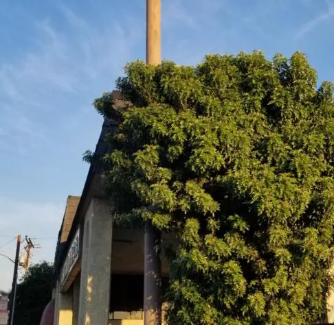 Grand Inn hotel detail image 1