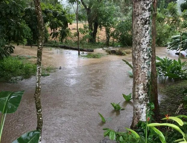 Paraiso Inn hotel detail image 1
