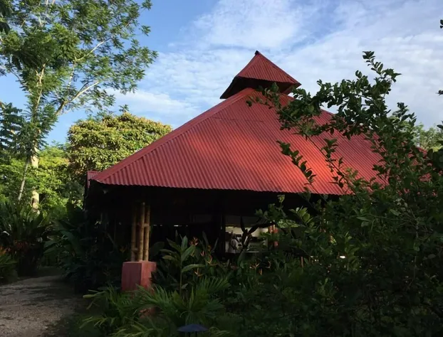 Paraiso Inn hotel detail image 2