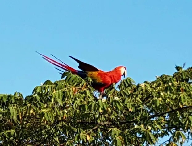 Paraiso Inn hotel detail image 3