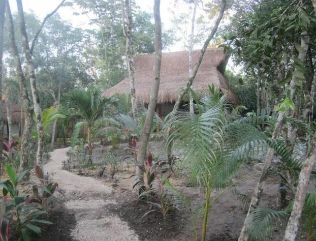 Casa Mango hotel detail image 1