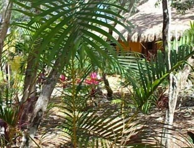 Casa Mango hotel detail image 2