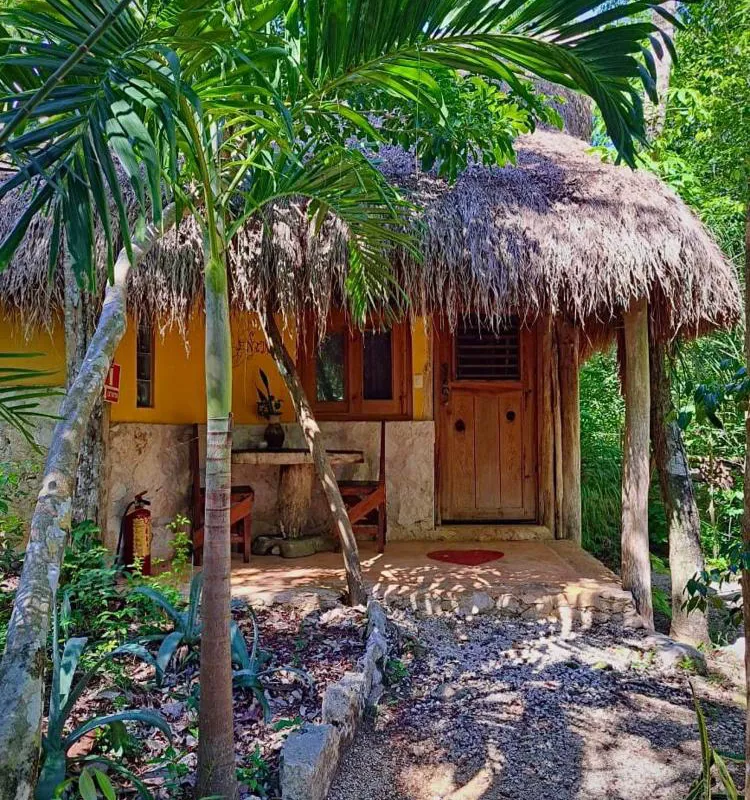 Casa Mango hotel hero