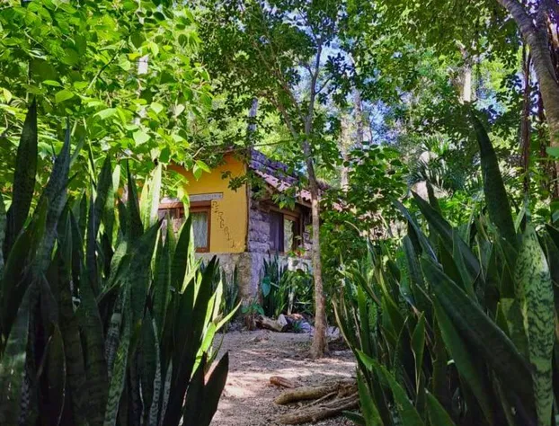 Casa Mango hotel detail image 1