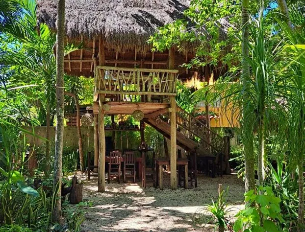 Casa Mango hotel detail image 3