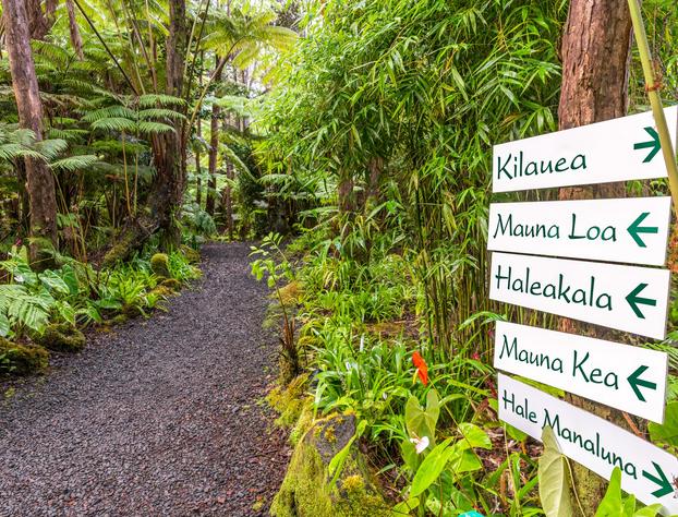 Volcano Village Lodge hotel detail image 1