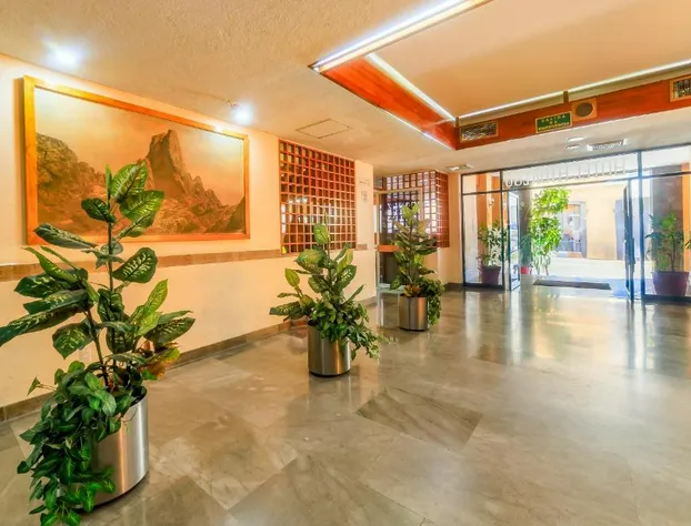 OYO Hotel Hidalgo hotel detail image 4