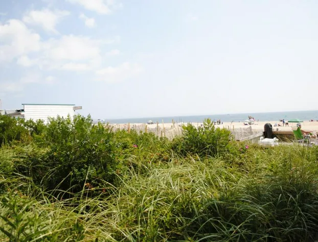 Windswept Motel hotel detail image 2