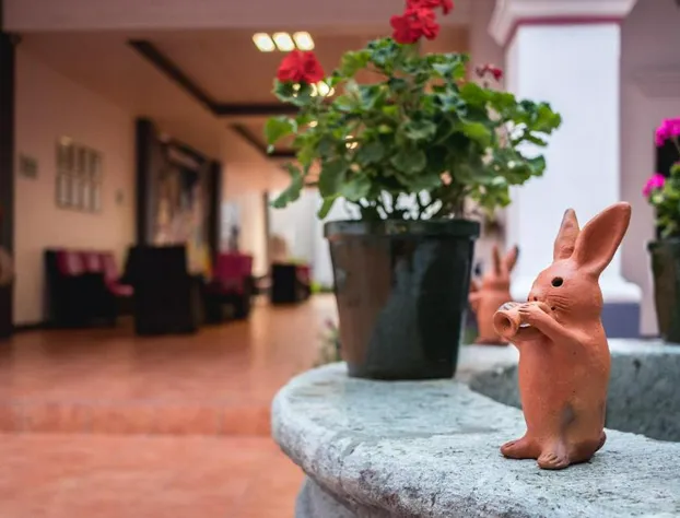 Hotel del Marquesado hotel detail image 2