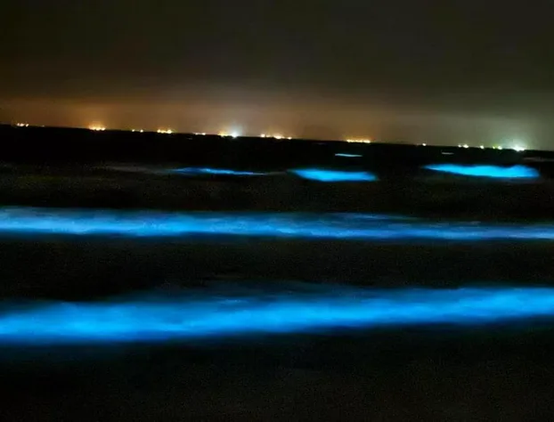 Gulfway Motel & Restaurant hotel detail image 2