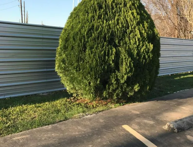 Moonlight Inn hotel detail image 1