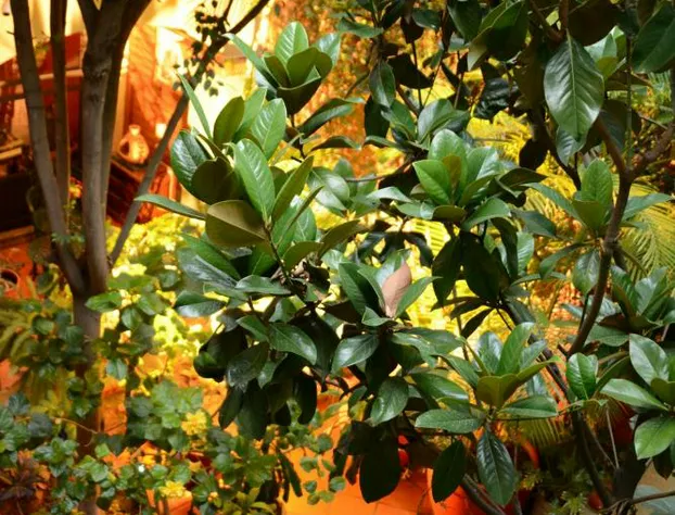 Hotel Casa Guivá hotel detail image 2