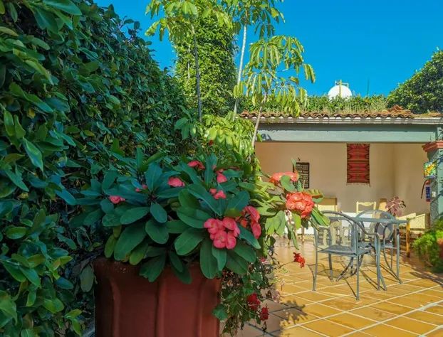 Hotel Casa Guivá hotel detail image 3