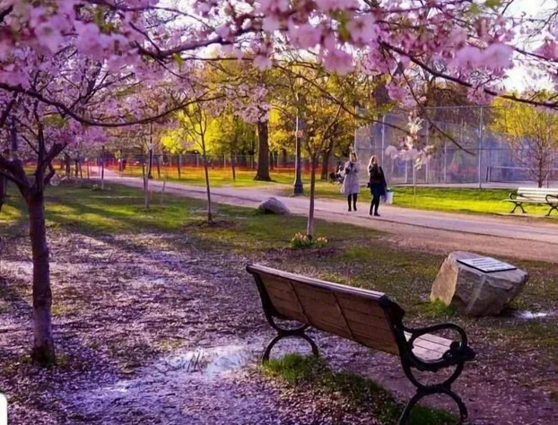 The Sunshine House hotel detail image 1