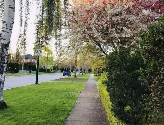 The Sunshine House hotel detail image 2