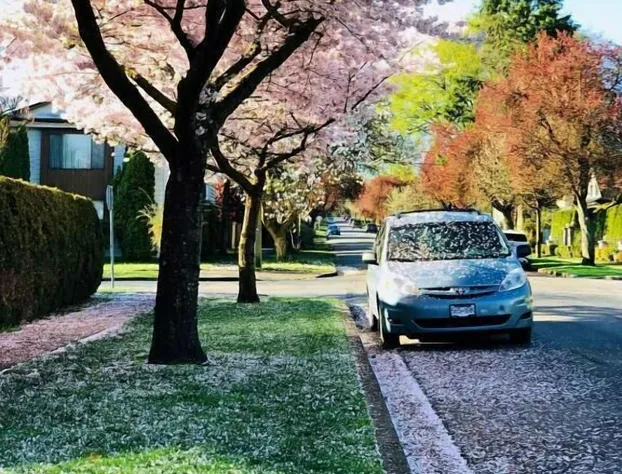 The Sunshine House hotel detail image 3