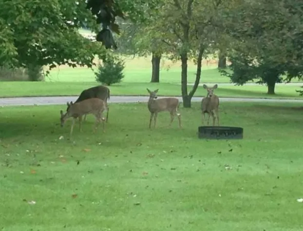 Oak Hill Bed & Breakfast hotel detail image 4