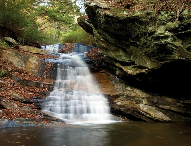 Bright's Creek Lodge hotel detail image 2