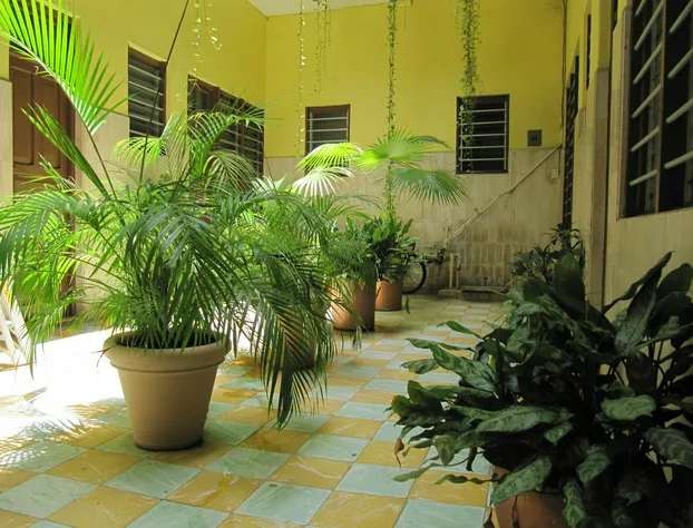 Hotel Amparo hotel detail image 3