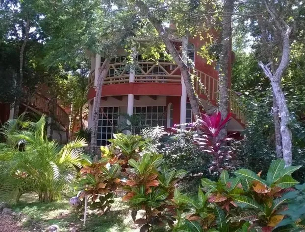 Eco-Hotel Nueva Altia hotel detail image 2