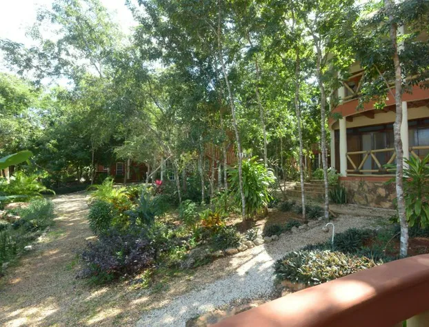 Eco-Hotel Nueva Altia hotel detail image 3