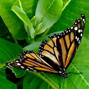 Clonmel Castle hotel detail image 1