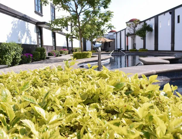 The Latit Hotel Querétaro hotel detail image 2