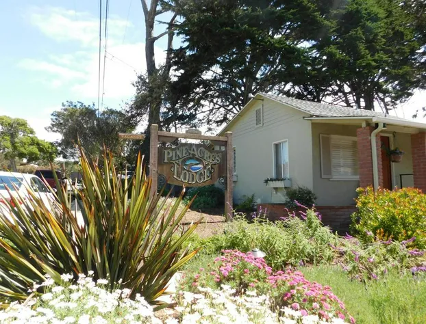 Pine Acres Lodge hotel detail image 1