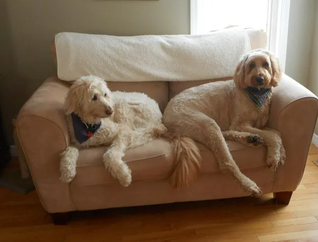 Cote's Bed & Breakfast Inn hotel detail image 1