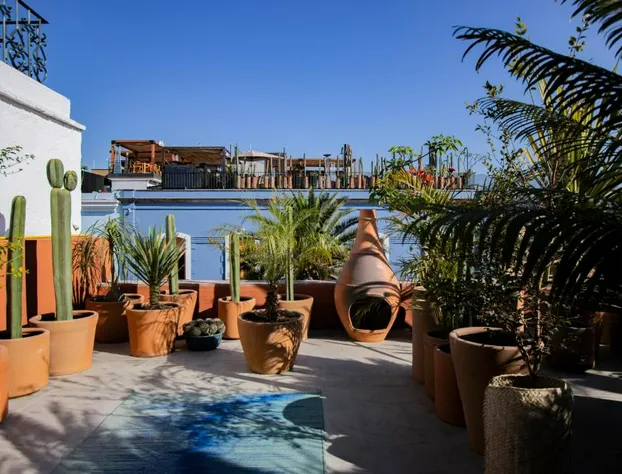 Hotel Los Amantes hotel detail image 1