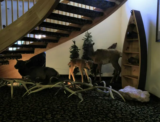 Greenwood Village Inn hotel detail image 3