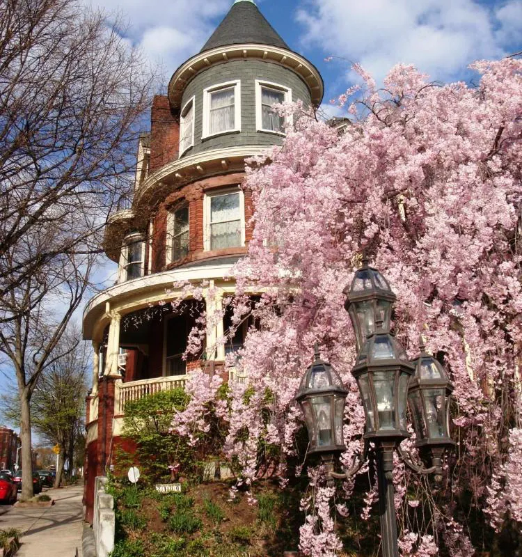 Wilson House Bed & Breakfast hotel hero