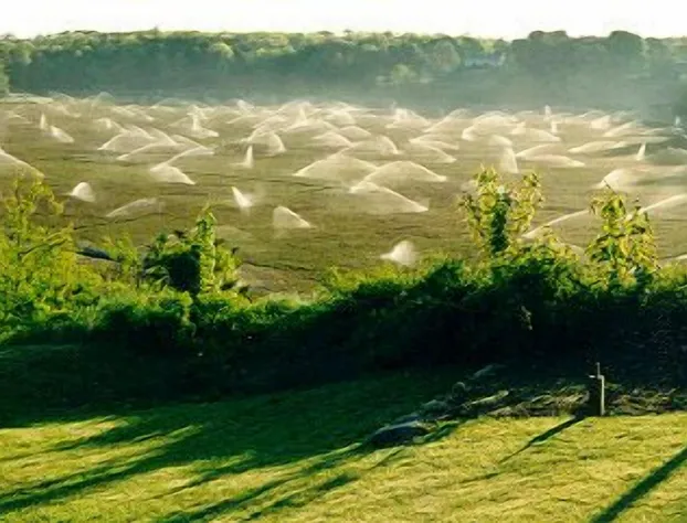 Wood Duck Inn hotel detail image 3