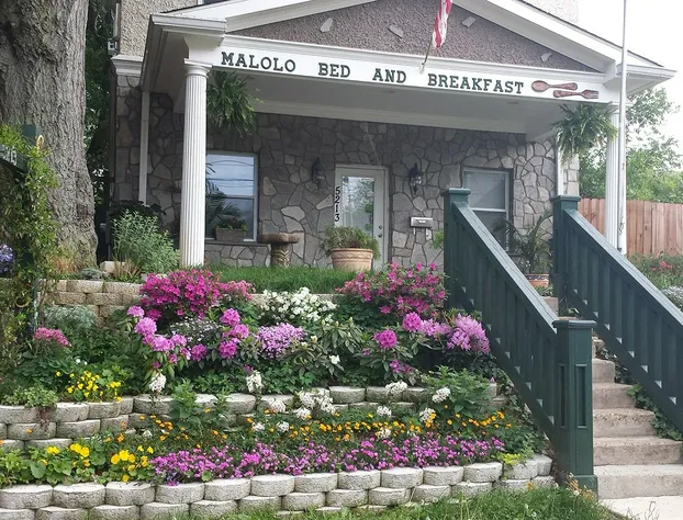 Malolo Bed and Breakfast hotel detail image 1