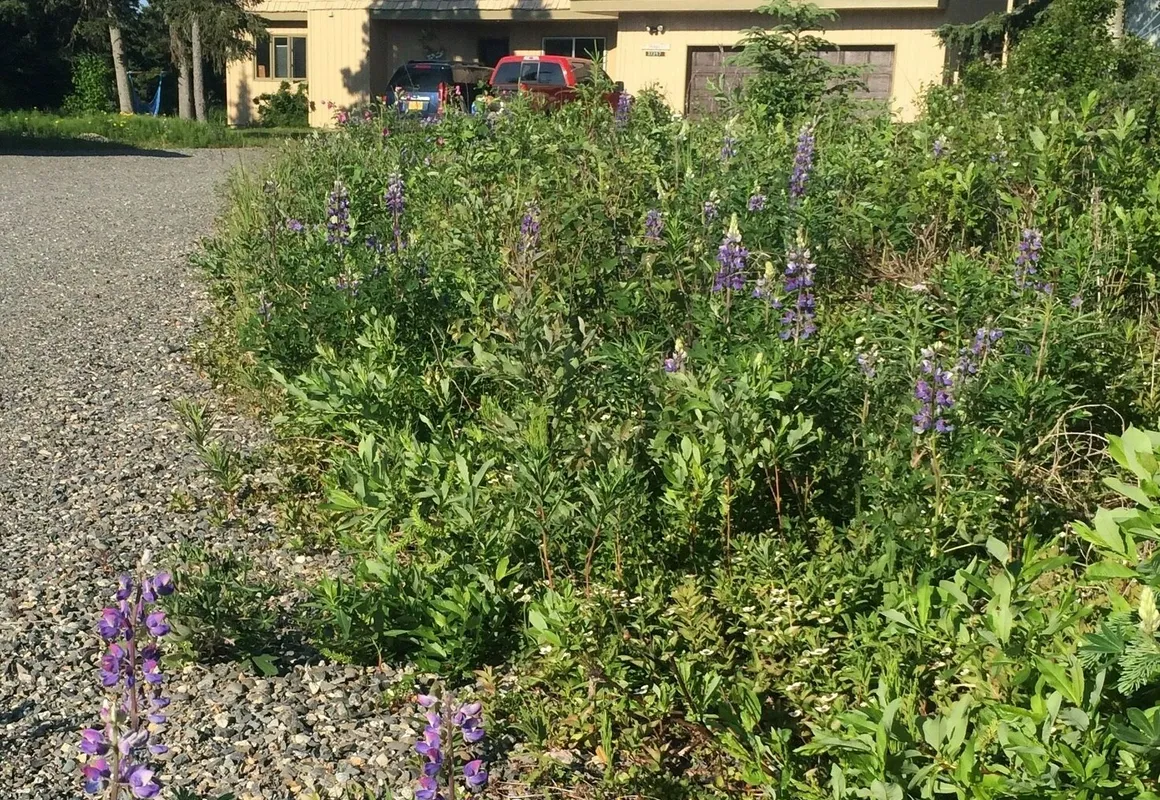 Ocean View Inn Kenai hotel hero