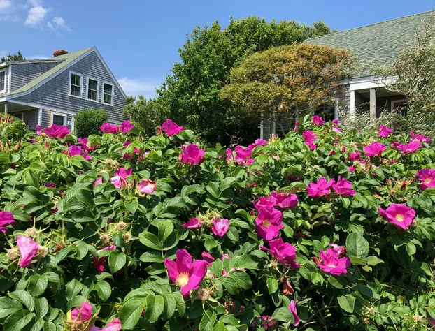 Sea Breeze Inn hotel detail image 1