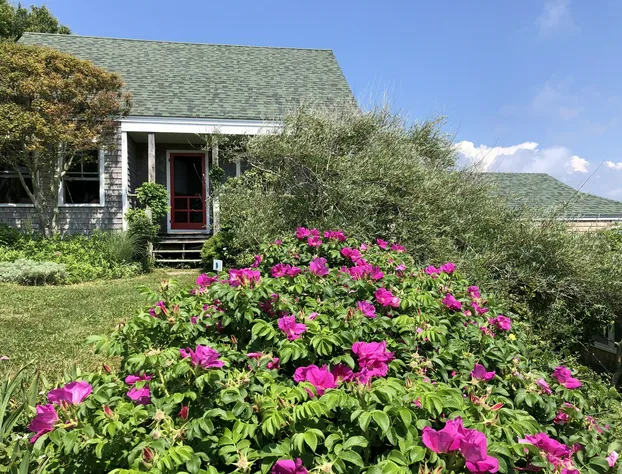 Sea Breeze Inn hotel detail image 2