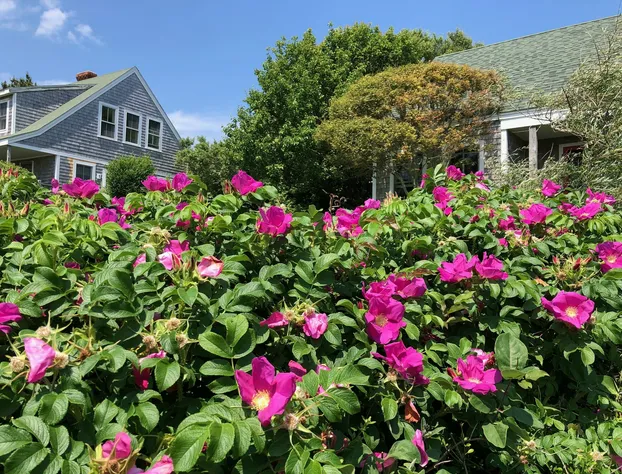 Sea Breeze Inn hotel detail image 3