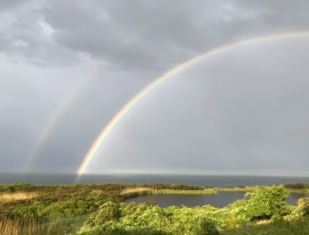 Sea Breeze Inn hotel detail image 4