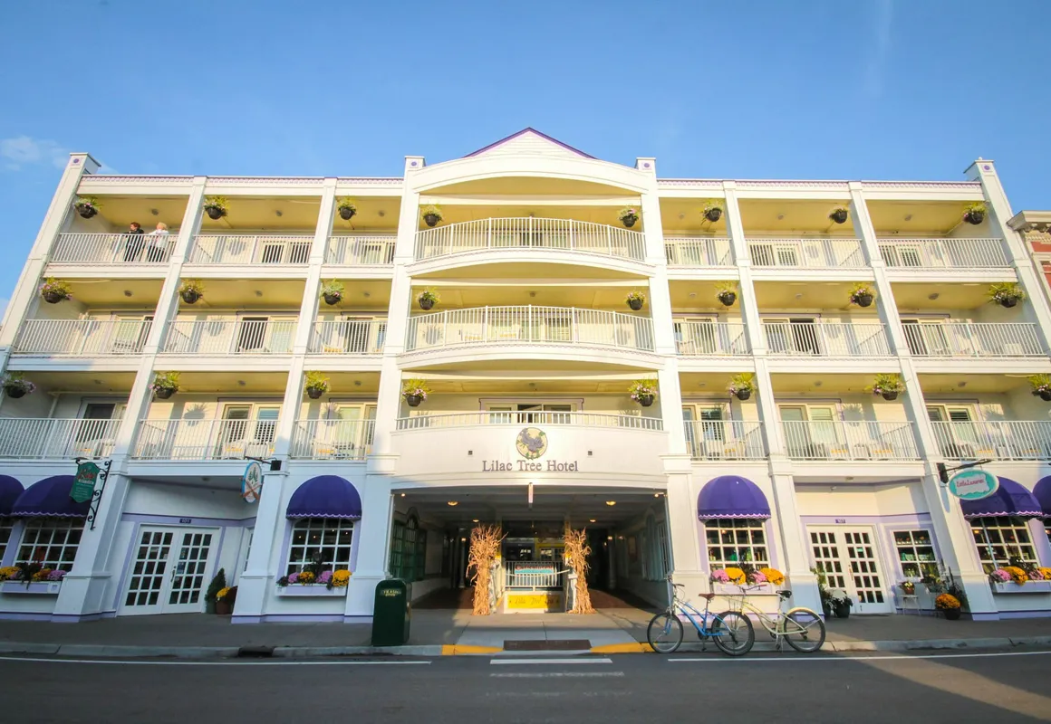 Lilac Tree Suites hotel hero