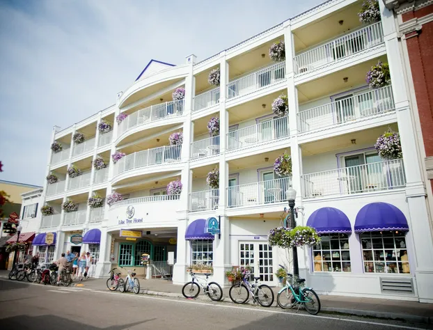 Lilac Tree Suites hotel detail image 3