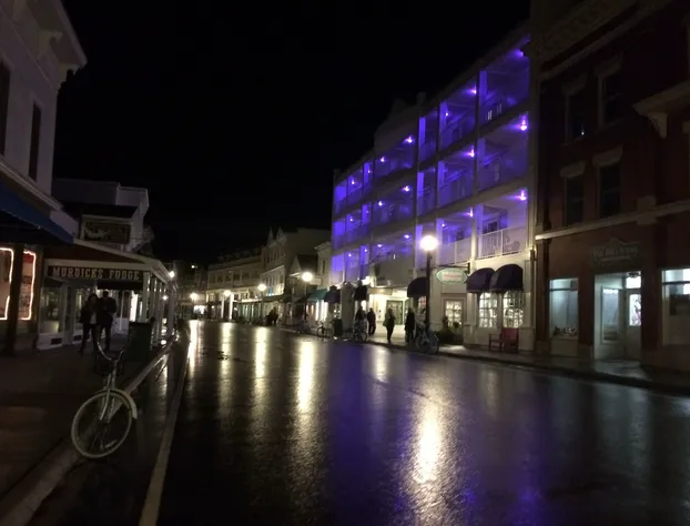 Lilac Tree Suites hotel detail image 4