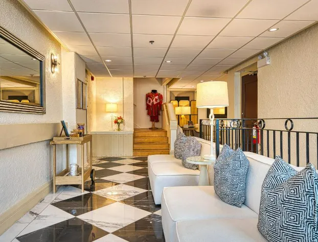 The Stratford Hotel by Hoco Hotels Collection hotel detail image 3